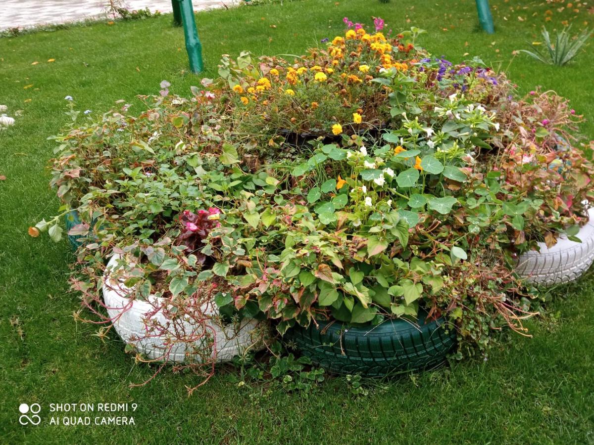 Guest House Vila Banjica بايرت المظهر الخارجي الصورة