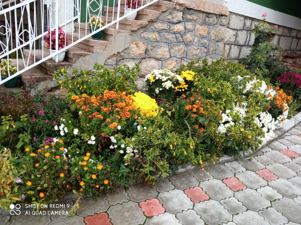Guest House Vila Banjica بايرت المظهر الخارجي الصورة