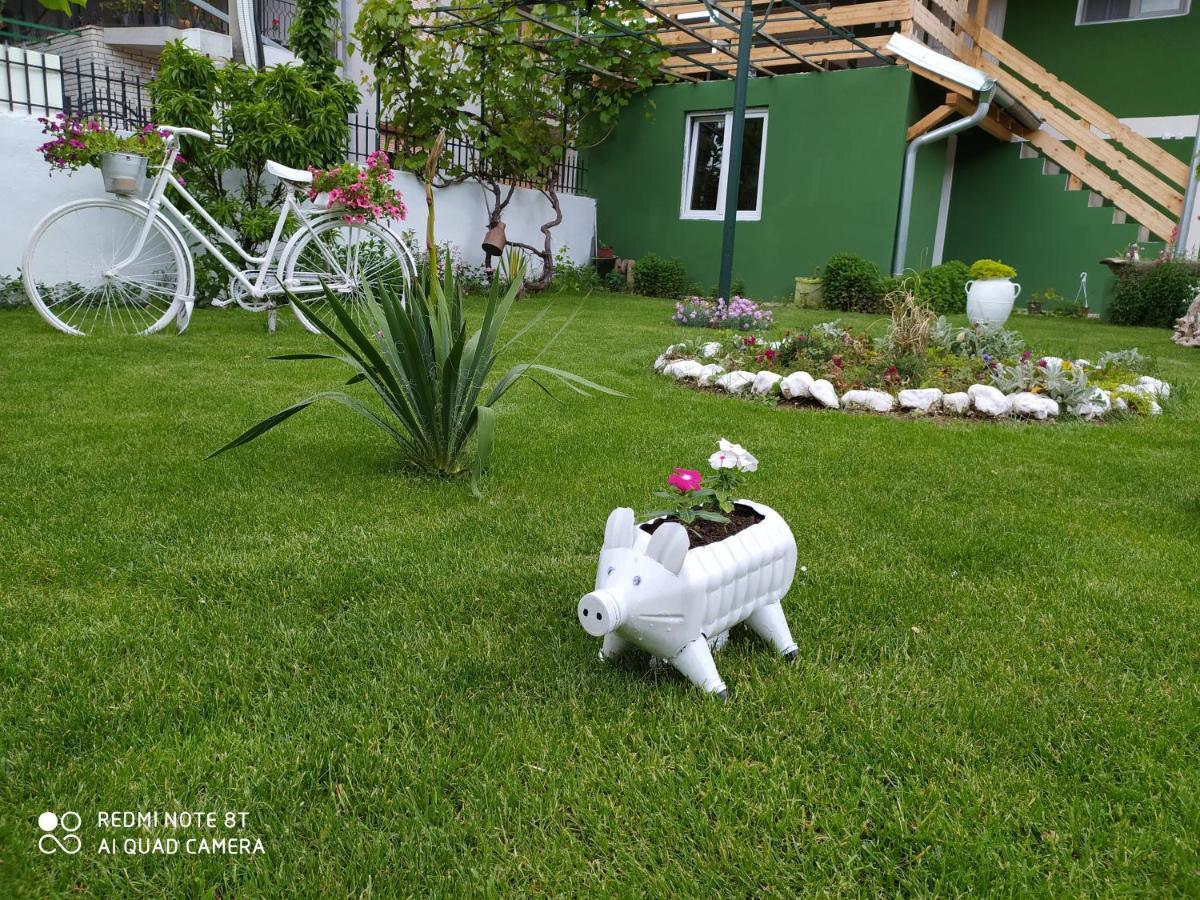 Guest House Vila Banjica بايرت المظهر الخارجي الصورة