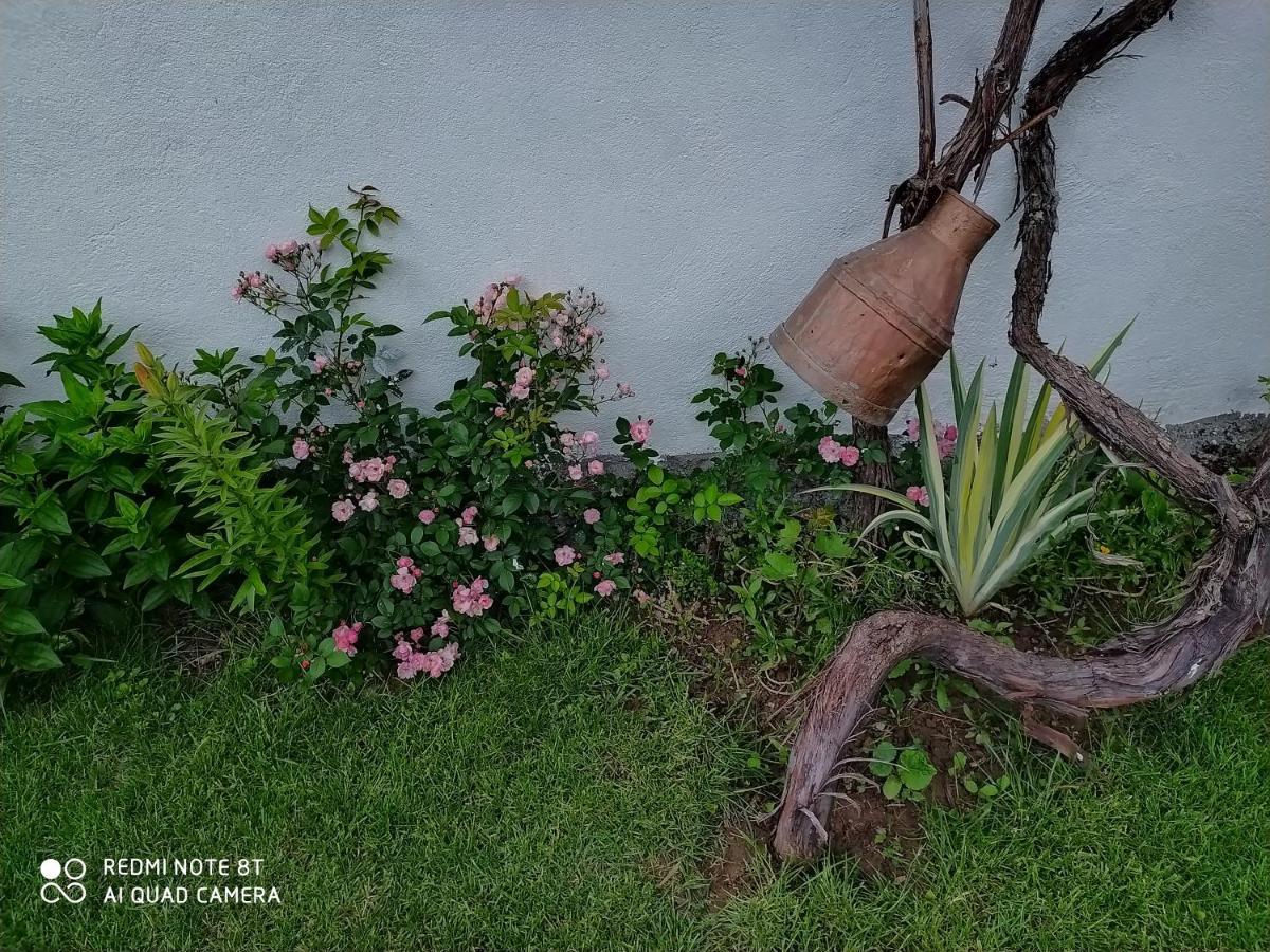 Guest House Vila Banjica بايرت المظهر الخارجي الصورة